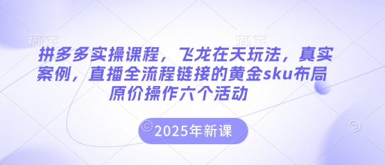 拼多多实操课程,飞龙在天玩法,真实案例,直播全流程链接的黄金sku布局原价操作六个活动_共创网