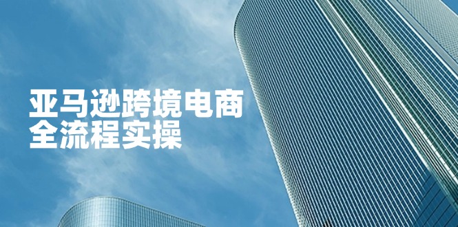 （14252期）亚马逊跨境电商全流程实操，教你从零开始，掌握店铺运营与广告技巧_共创网