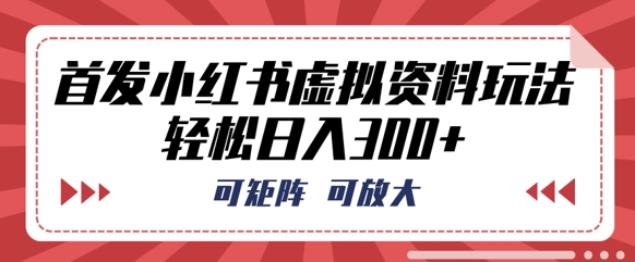 首发小红书虚拟资料玩法，可矩阵，可放大，轻松日入3张_共创网