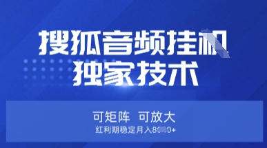 【搜狐音频挂G】独家技术，可矩阵可放大，红利期稳定月入8k【揭秘】_共创网