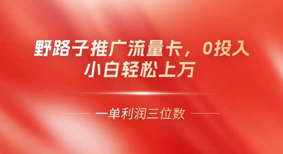 0门槛推广流量卡，一单收益上百，0投入，小白月入过W_共创网
