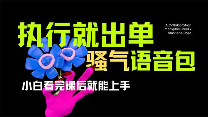 (14170期)爆火全网的开车导航骚气语音包,只要执行就出单,小白看完课程就能实操..._共创网