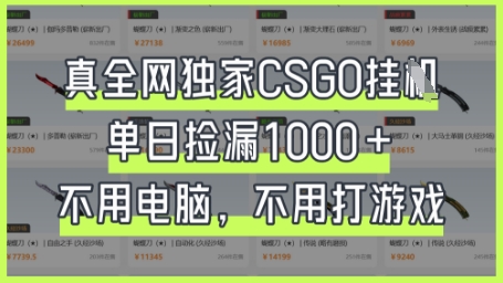 真全网独家CSGO挂G，单日捡漏1k+【揭秘】_共创网