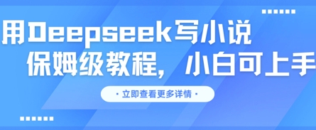 用Deepseek写小说，保姆级教程，小白可实操_共创网